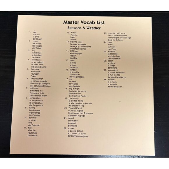 Bilingual Bingo Game Learning Seasons & Weather Vocabulary Spanish French German - Picture 5 of 6